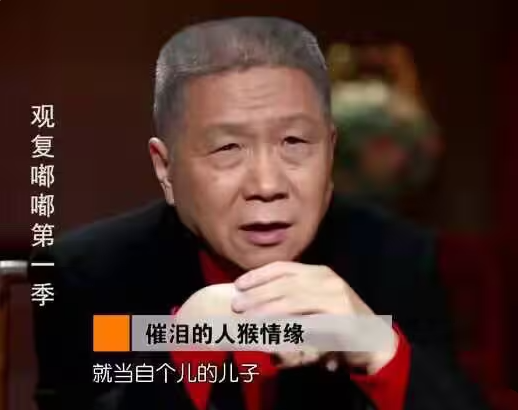 催泪的人猴情缘 催泪的人猴情缘